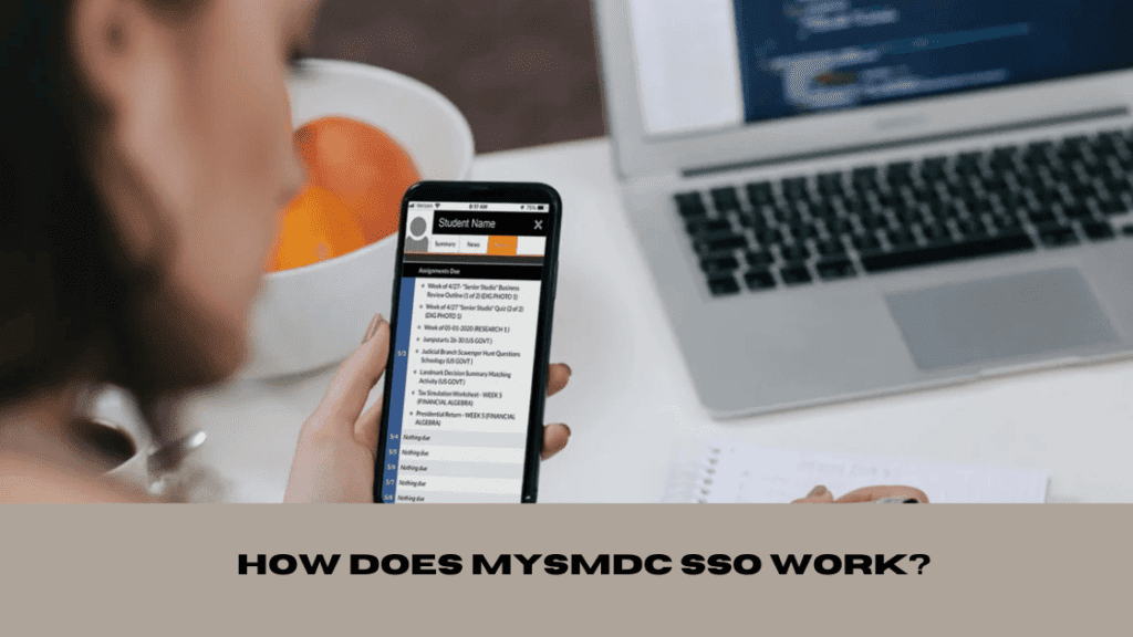 How Does Mysmdc SSO Work?